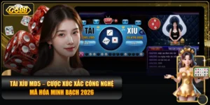 Tài Xỉu MD5