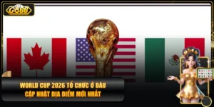 World Cup 2026 tổ chức ở đâu